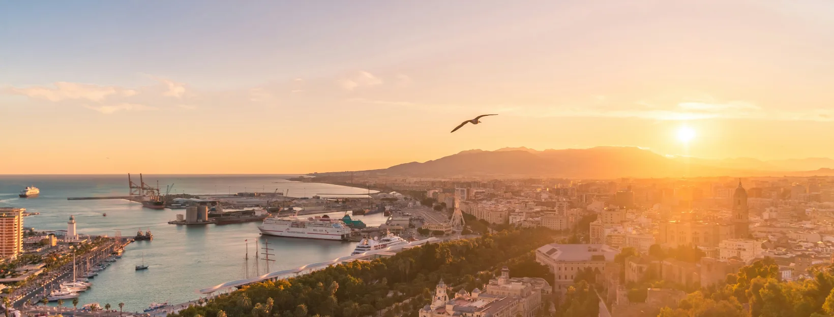 Malaga Marathon